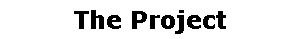 The Project