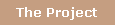 The Project