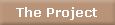 The Project